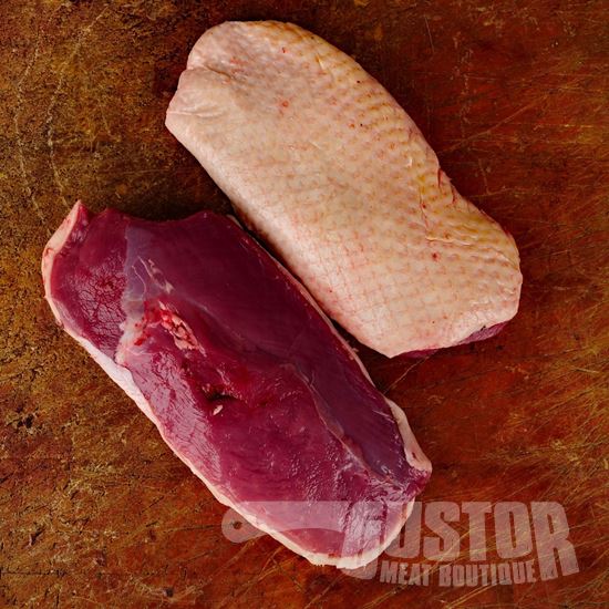 Filet van jonge eend (FR)