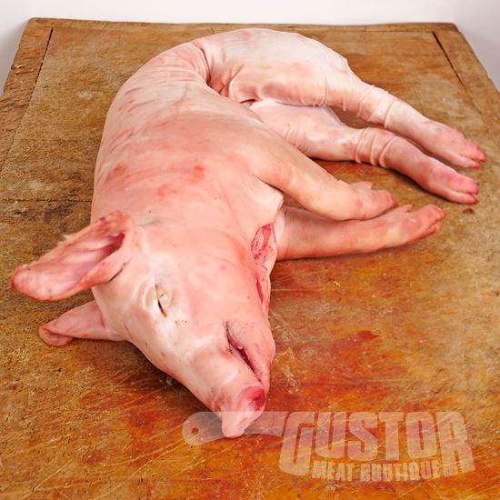 Melkvarken geheel Duroc